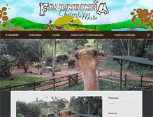 Tablet Screenshot of fazendinhacheirodomato.com.br